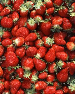 479px-Chandler_strawberries